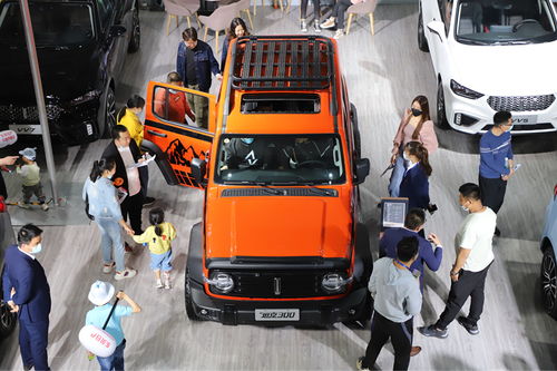 五一 假期前两日 宁夏房 车博览会销售汽车548辆 意向购房189套